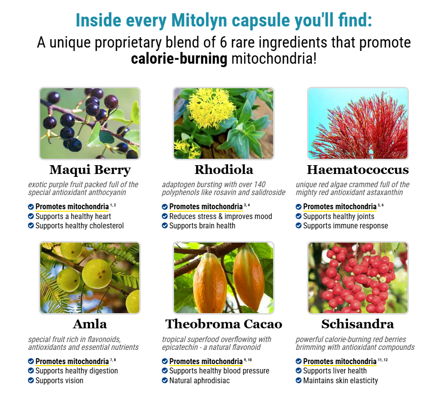 Mitolyn Reviews